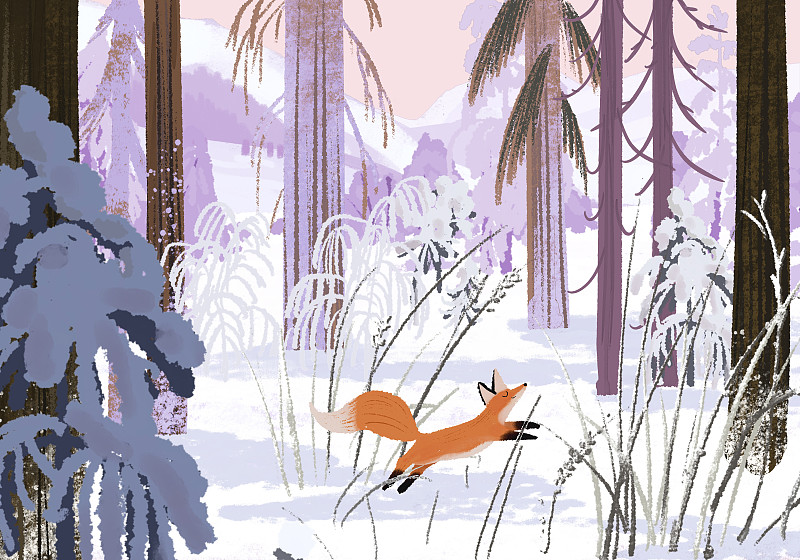 冬天，风景，雪，雪景，狐狸，森林图片下载