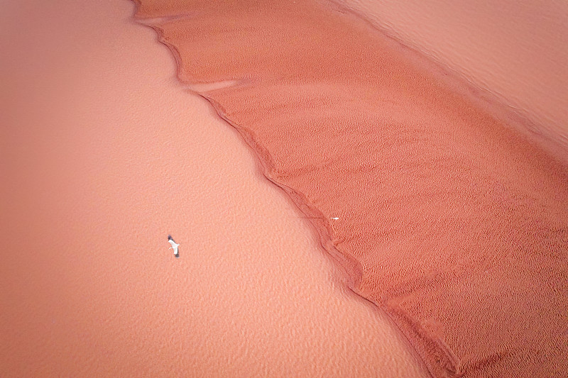 粉色浅滩 | 枯水期的黄河渡口图片下载