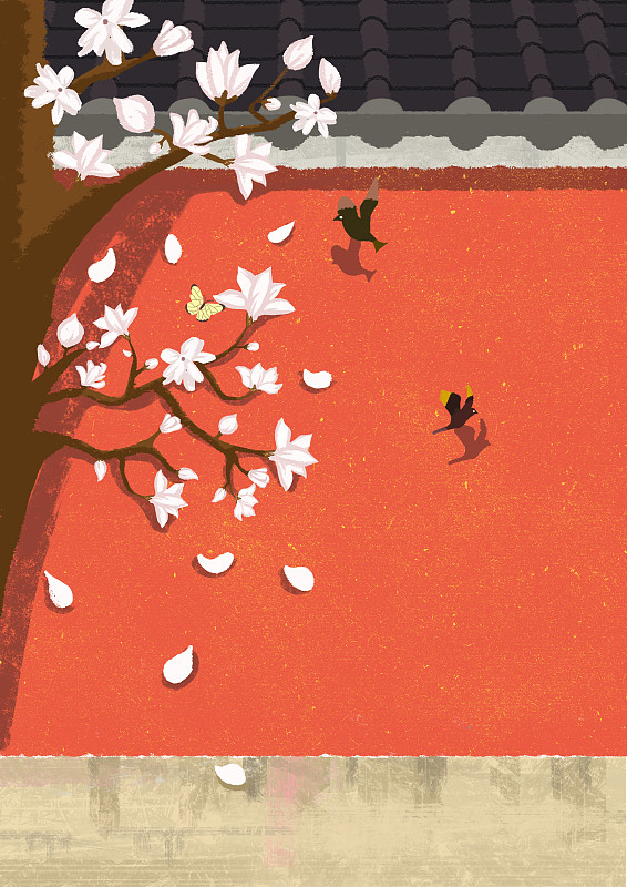 红墙背景下的玉兰花|扁平插画下载