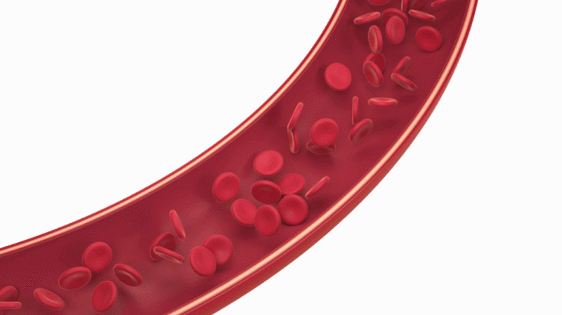 血管中的细胞3D渲染图片下载