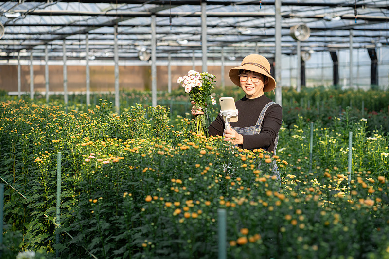 种植小雏菊的温室里直播的女电商图片下载