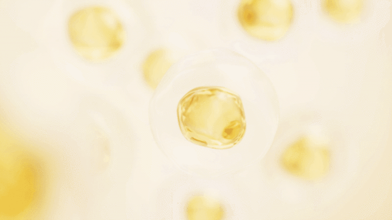 透明金色细胞生物科技背景3D渲染图片下载