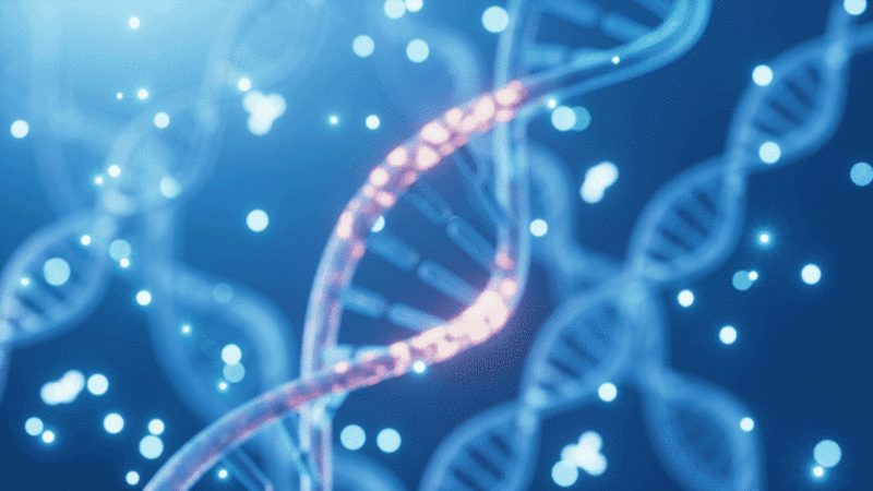DNA生物科技概念动画图片下载