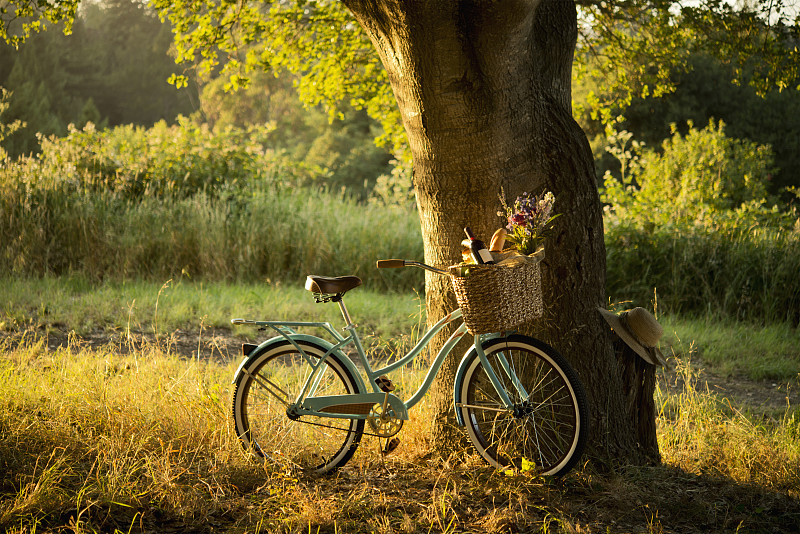 复古自行车与红酒在野餐篮XXXL图片下载