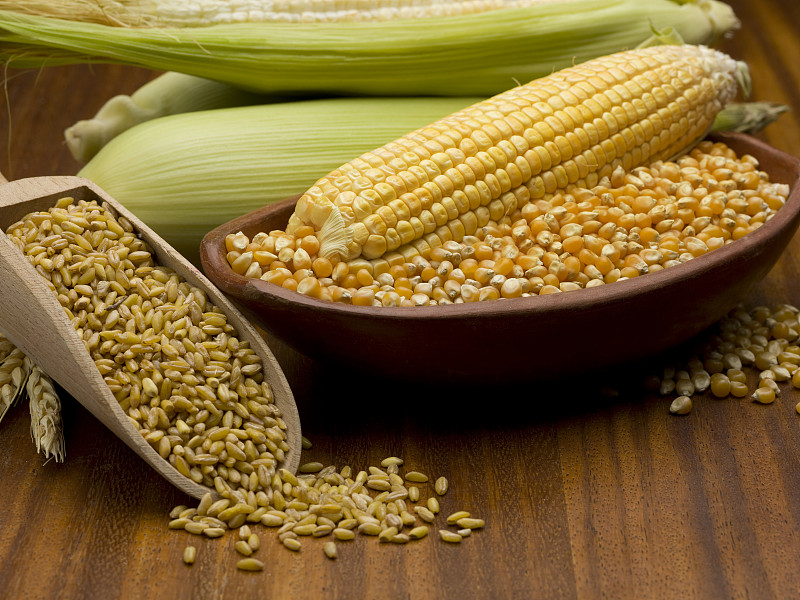 玉米和小麦图片下载