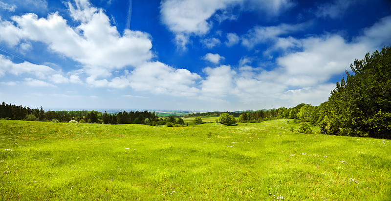 绿色的田野，忧郁的蓝色天空图片下载