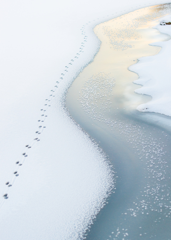 冰海上的足迹图片下载