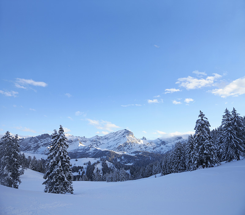 阿尔卑斯山上白雪覆盖的景色图片下载