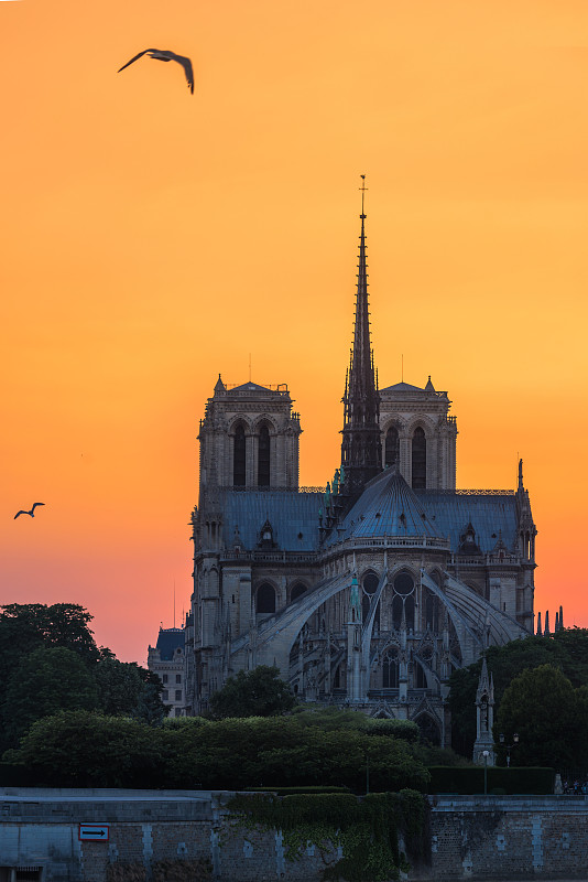 巴黎圣母院的日落图片下载