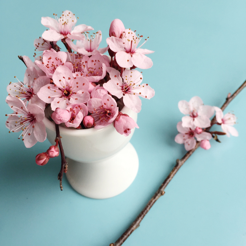 盛满粉红色花朵的蛋杯图片素材