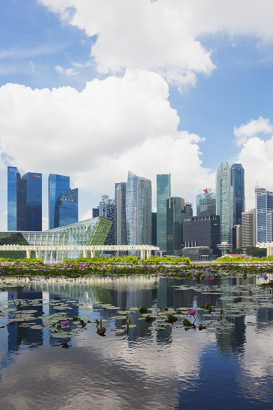 新加坡共和国，新加坡，天际线滨海湾区与百合池在前景图片下载