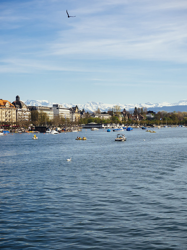 瑞士，苏黎世，城市景观，苏黎世湖，阿尔卑斯山在背景图片下载