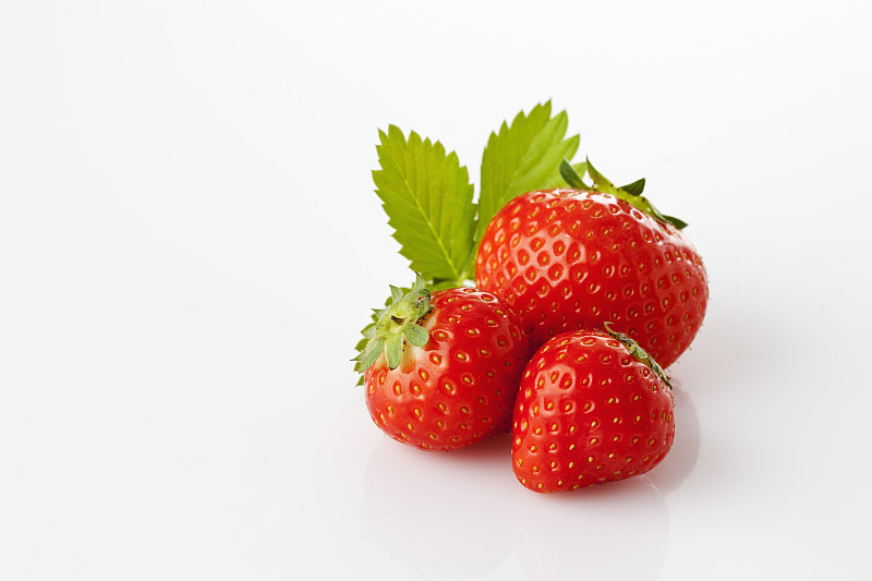 草莓,草莓属,叶图片下载