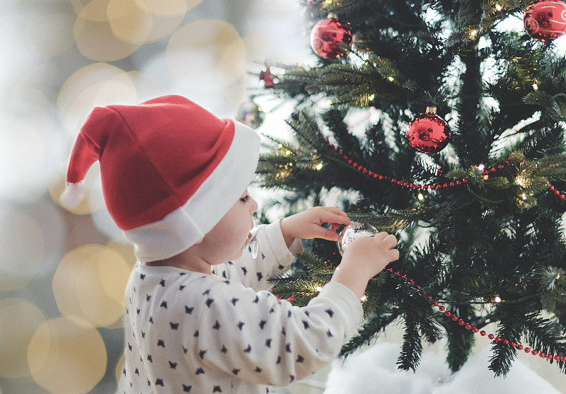 小男孩用雪装饰圣诞树图片下载