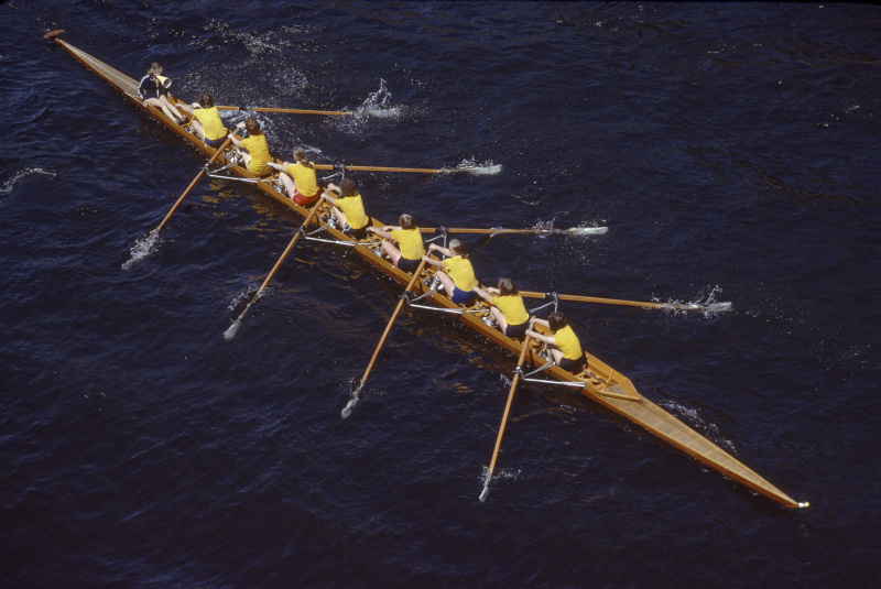 8名女子划桨竞技性比赛。图片下载
