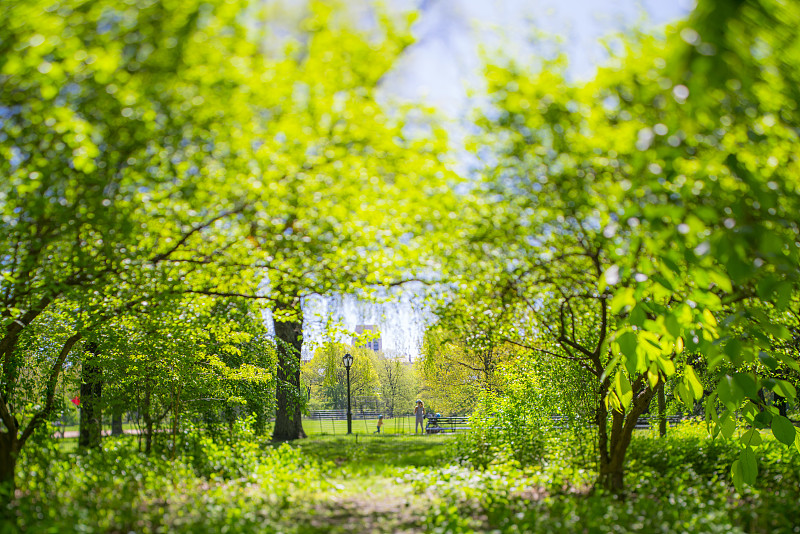 2019年5月6日，在美国纽约，人们在中央公园的草坪上散步。图片素材