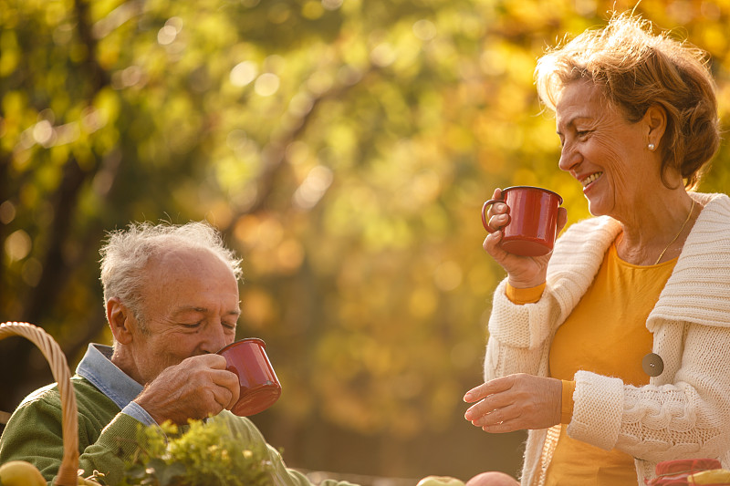 快乐的老夫妇一边喝茶一边在阳光明媚的后院放松图片素材