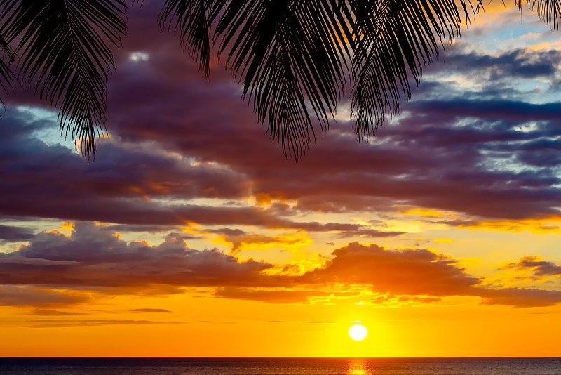 丹戎阿鲁海滩日落与棕榈树叶图片下载