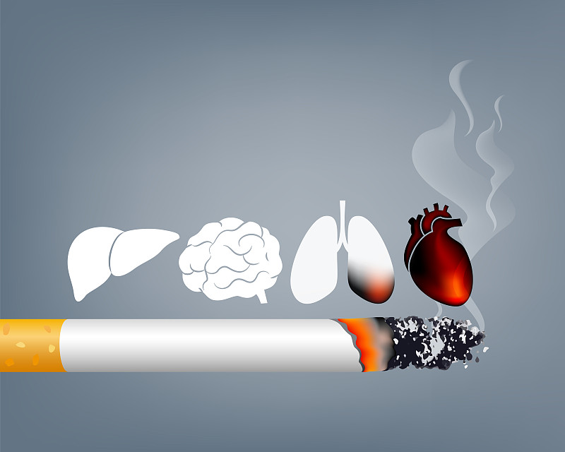 停止吸烟，世界无烟日。吸烟对人体器官有害。图片下载