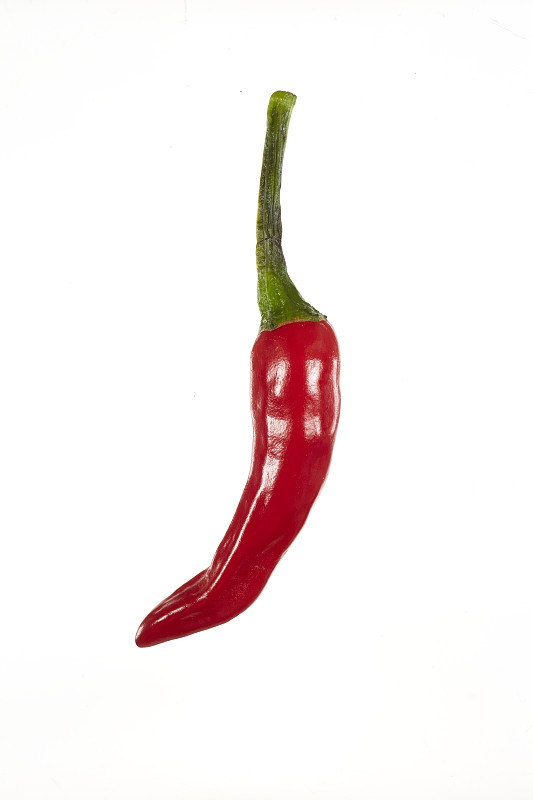 白色背景上的新鲜辣椒。红色的颜色。图片下载
