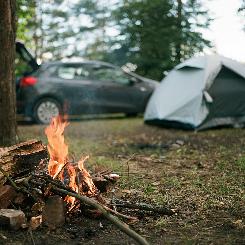 在森林里的篝火旁露营图片下载