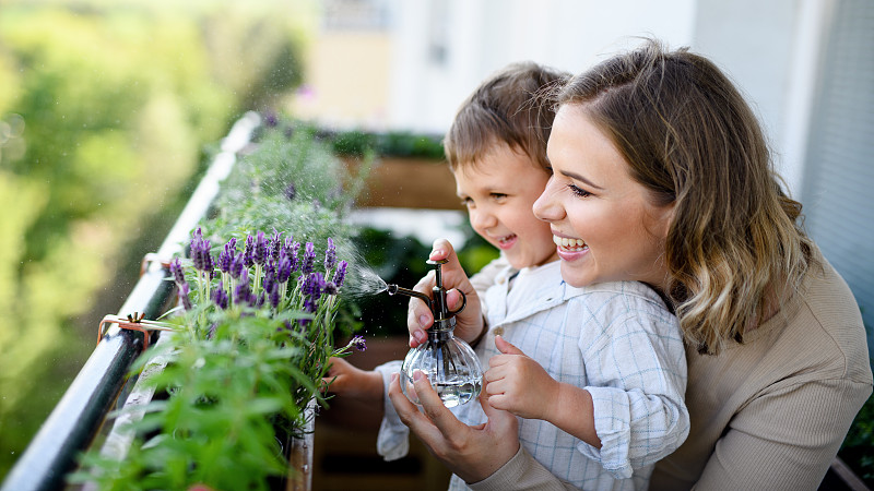 快乐年轻女子带着小儿子在阳台上园艺，城市园林概念。图片素材