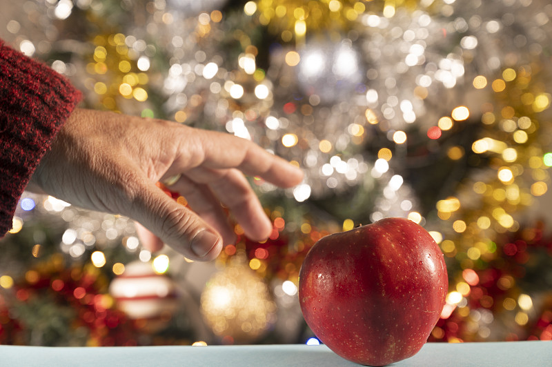 一个人用手拿苹果。背景是一棵装饰着花环的圣诞树。图片素材