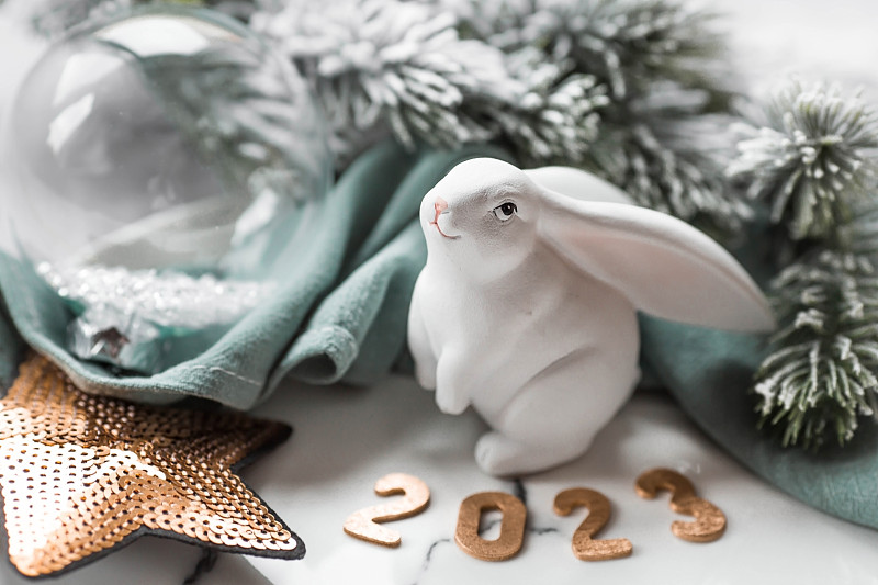 一张漂亮的节日卡片。新年和圣诞节快乐的概念。这一年的象征是一只白兔，背景是冷杉树枝和数字2023。图片下载