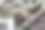 可爱的日本知更鸟(Luscinia akahige, charididae的一科)在树林里飞来飞去寻找食物。日本神奈川县相模原市Hayatogawa森林路，摄于2024年4月。摄影图片