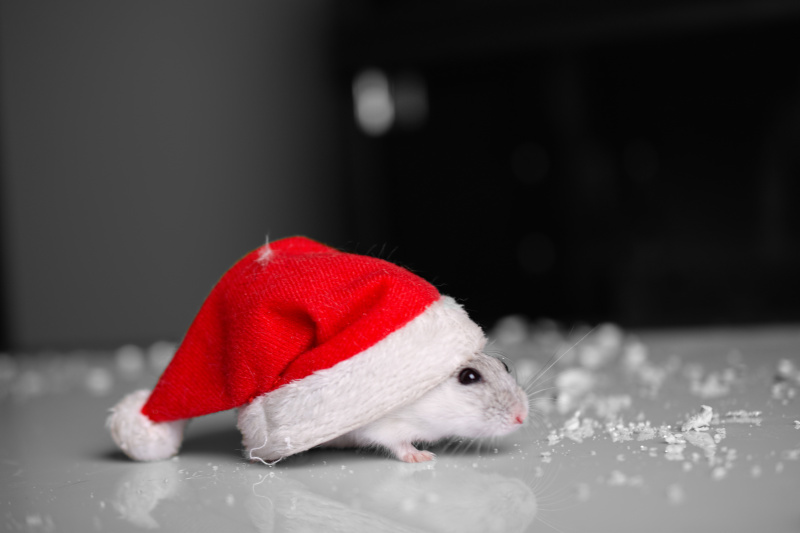 圣诞老人的鼠标图片下载