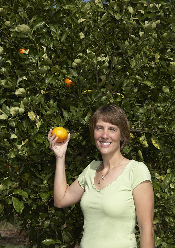 成熟的女人从树上摘橘子，微笑着，画像图片下载