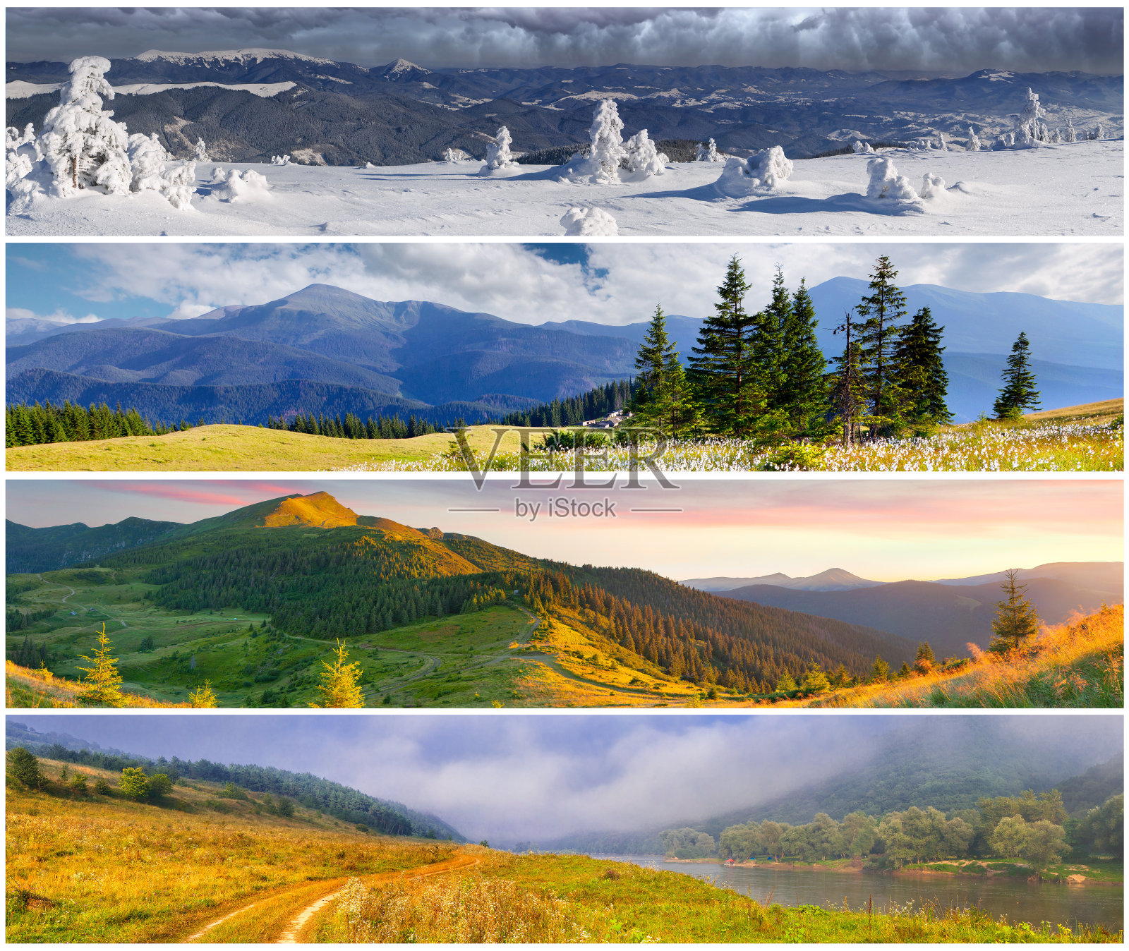 设置的4个季节景观横幅照片摄影图片