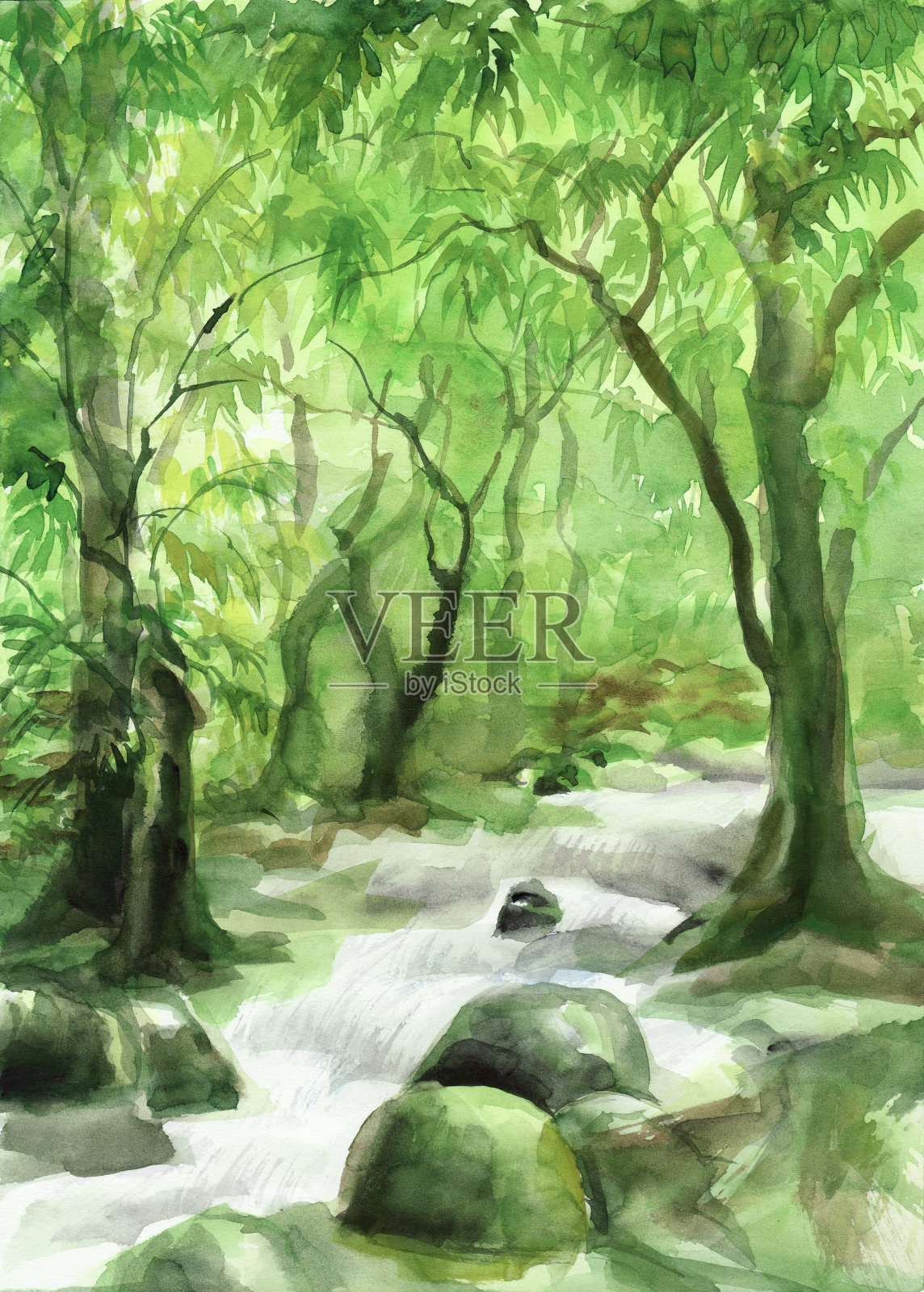 森林中的小溪插画图片素材