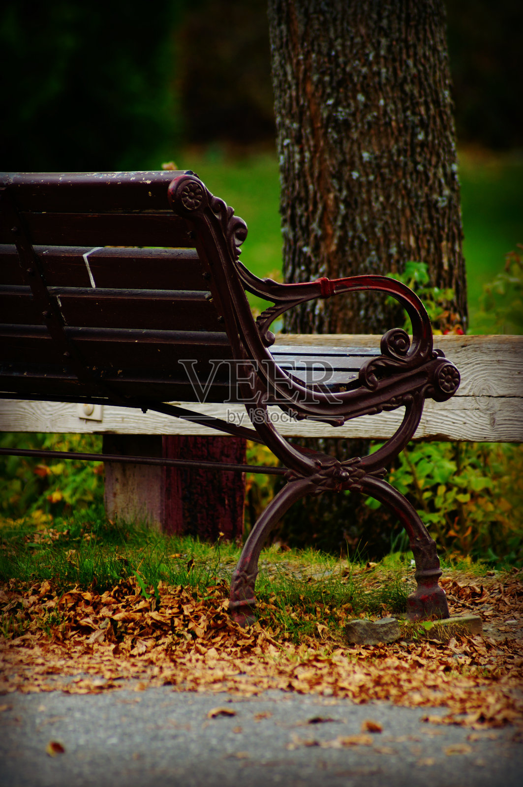秋天公园里的木凳照片摄影图片
