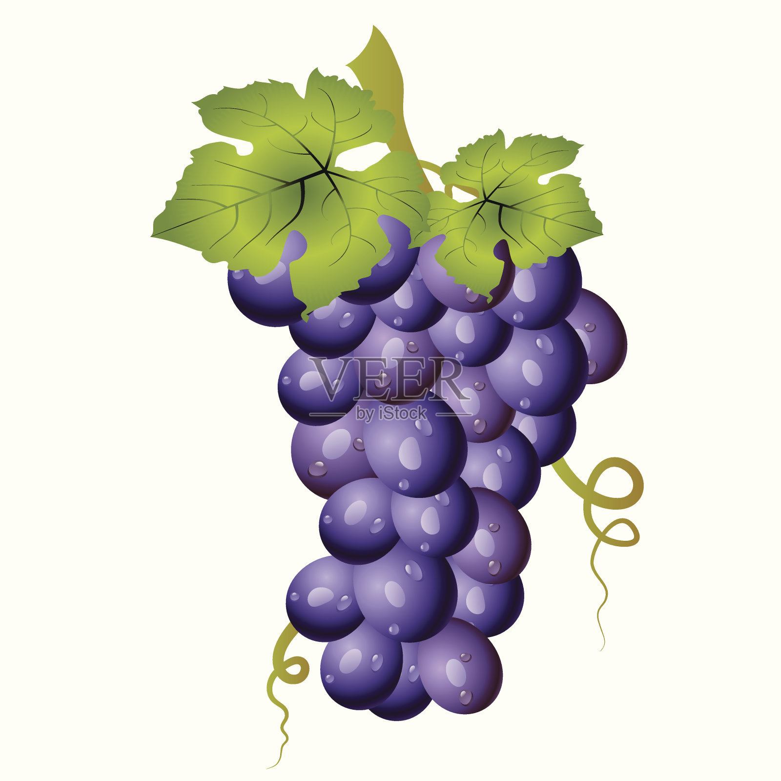 葡萄。设计元素图片
