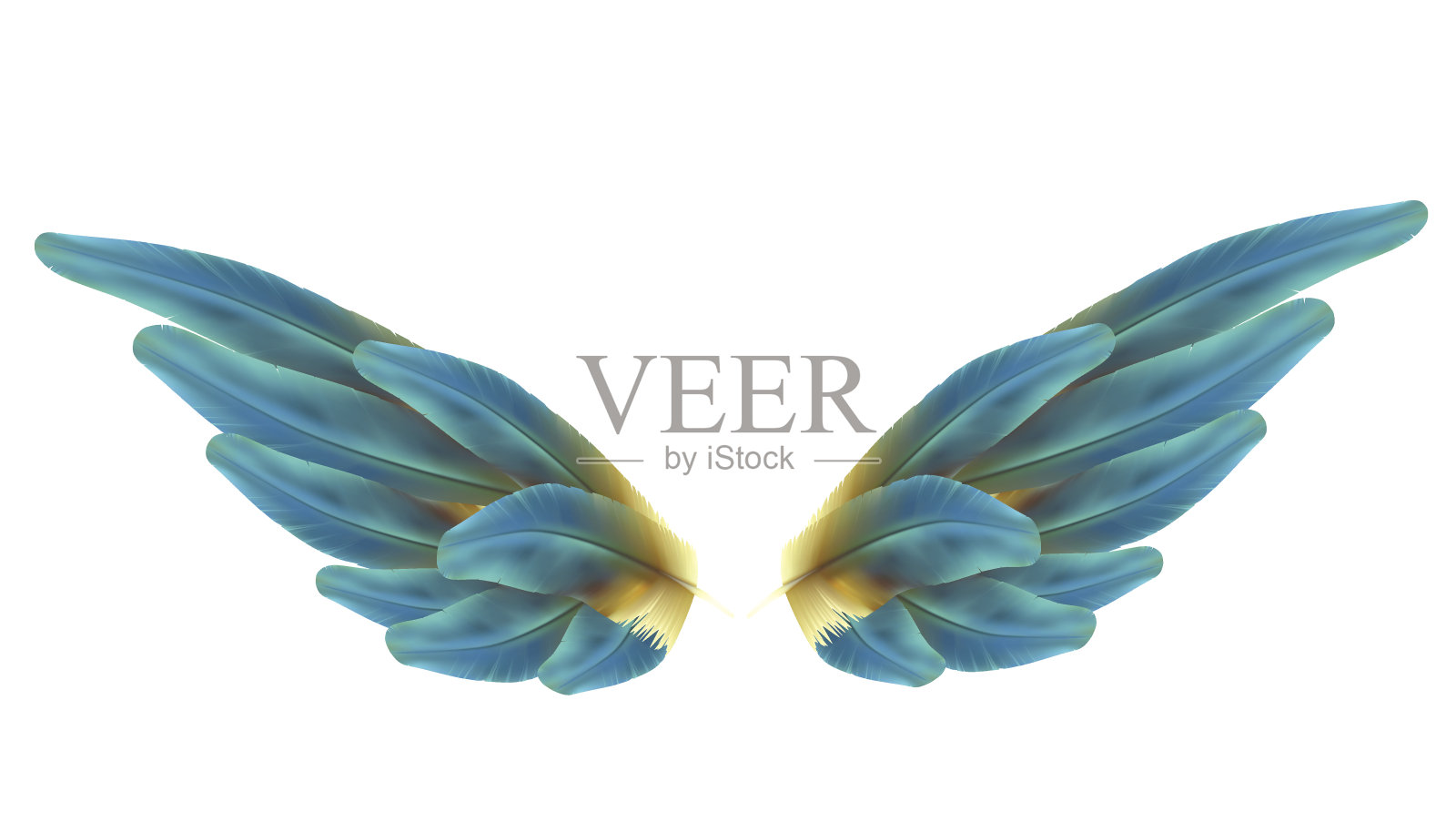 蓝色鸟的翅膀插画图片素材