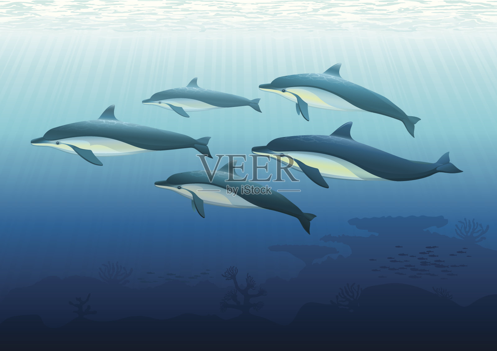 五只海豚游泳的插图设计元素图片