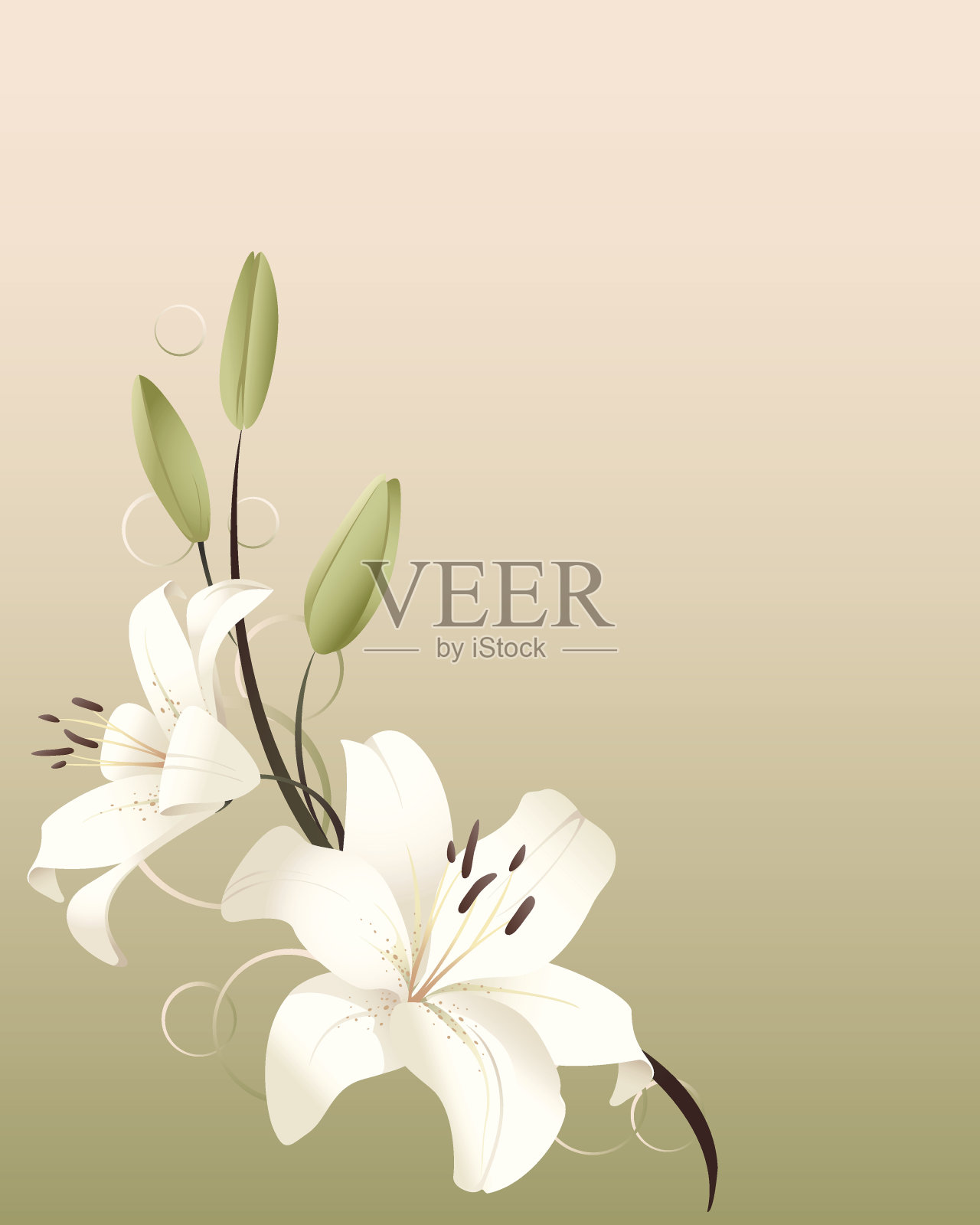 粉彩背景上的白色百合花图案艺术插画图片素材
