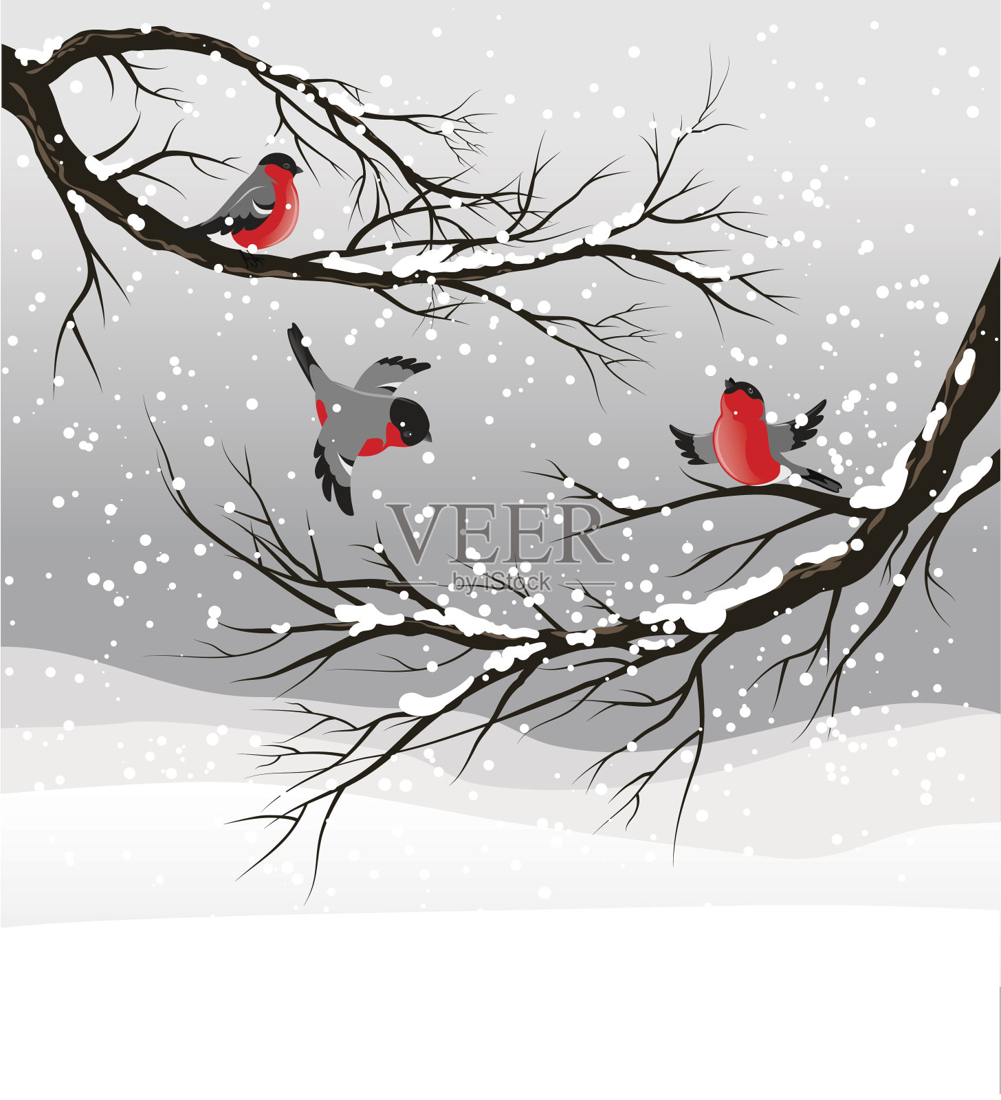 冬季背景与红腹灰雀插画图片素材
