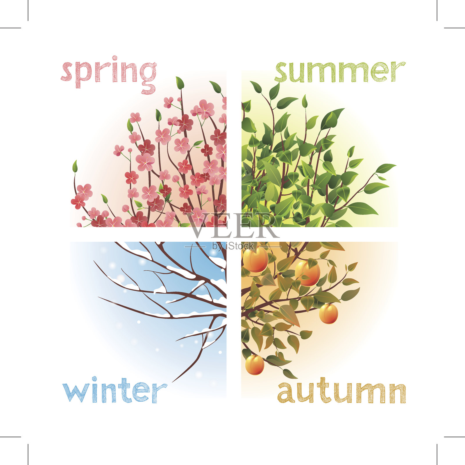 四季冬、夏、秋、春插画图片素材