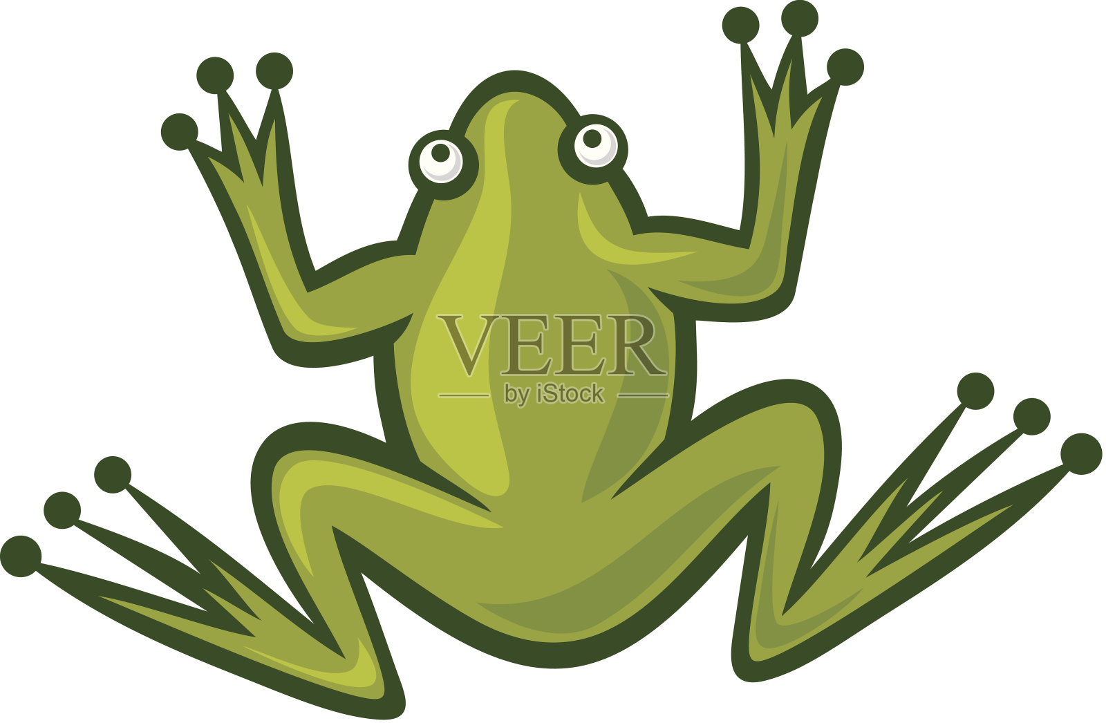 青蛙插画图片素材