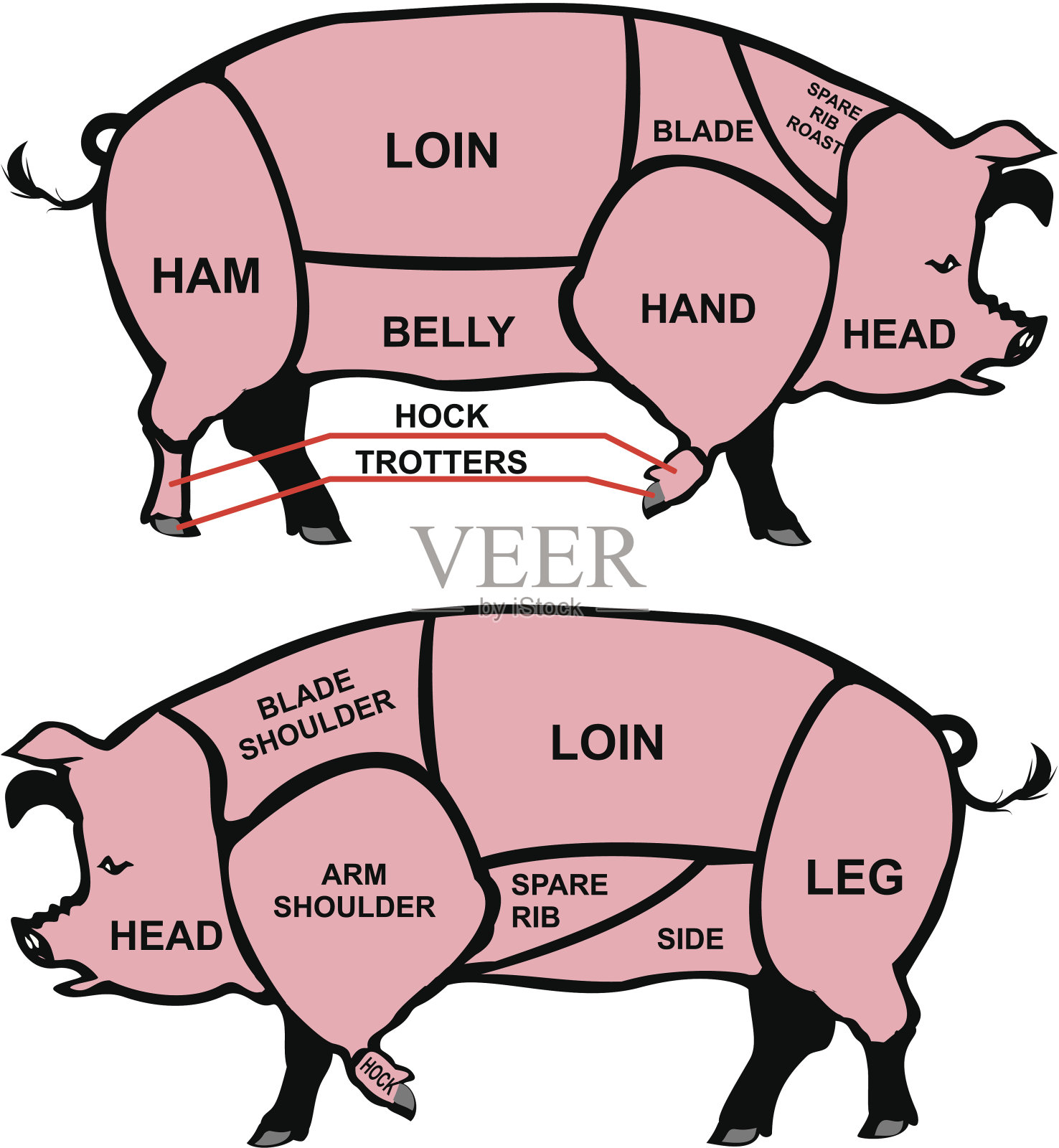 削减的猪肉插画图片素材