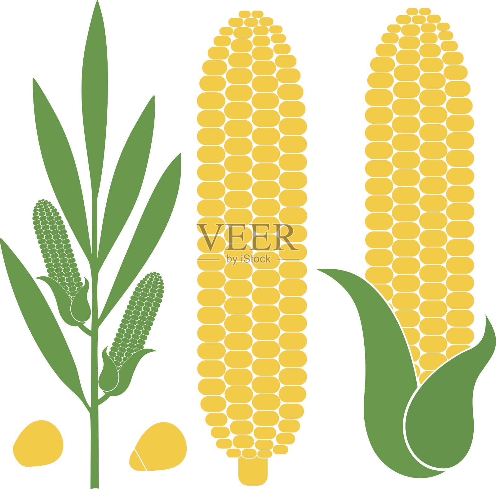 不同形式和人物的玉米插图插画图片素材