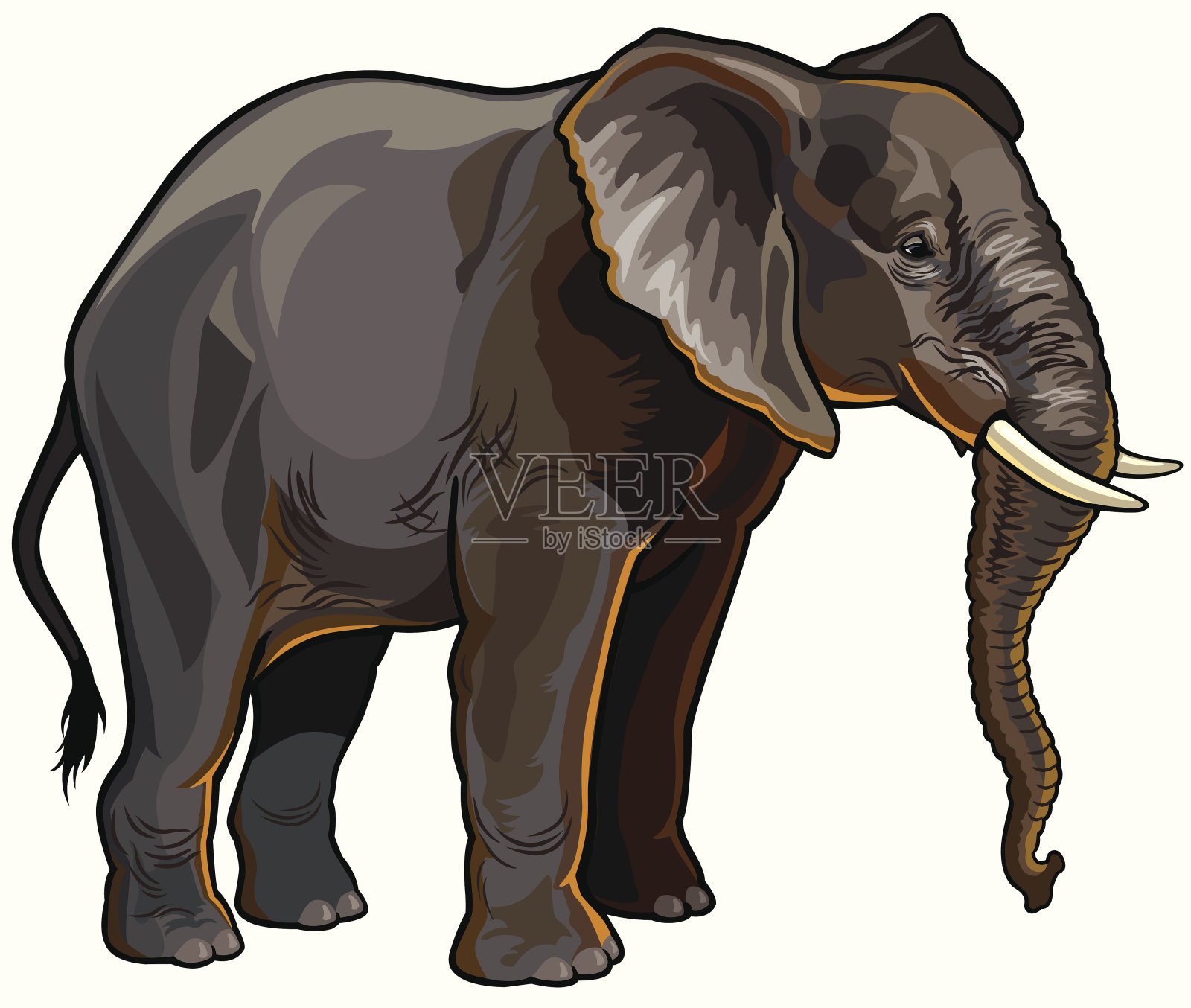 非洲象插画图片素材
