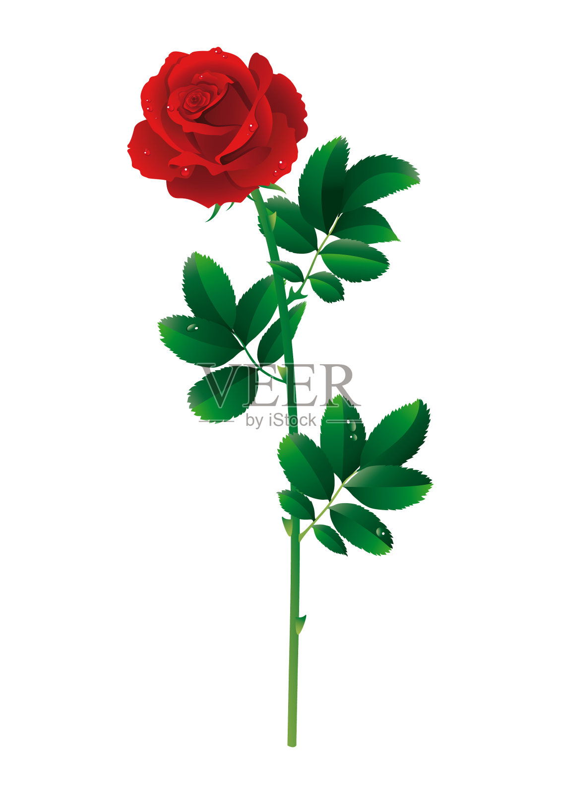 红玫瑰设计元素图片
