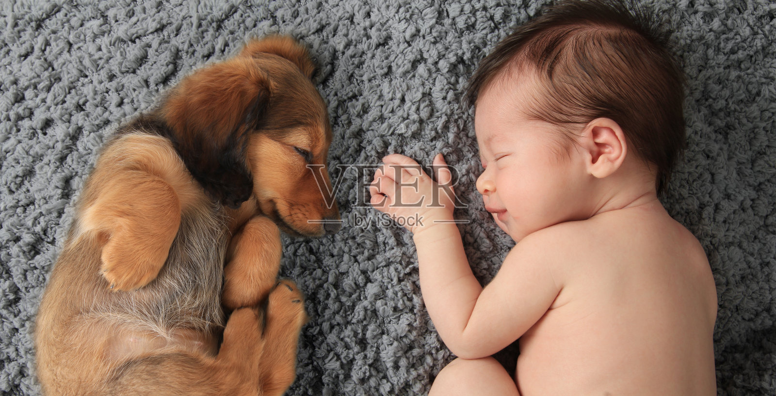 新生婴儿和小狗照片摄影图片