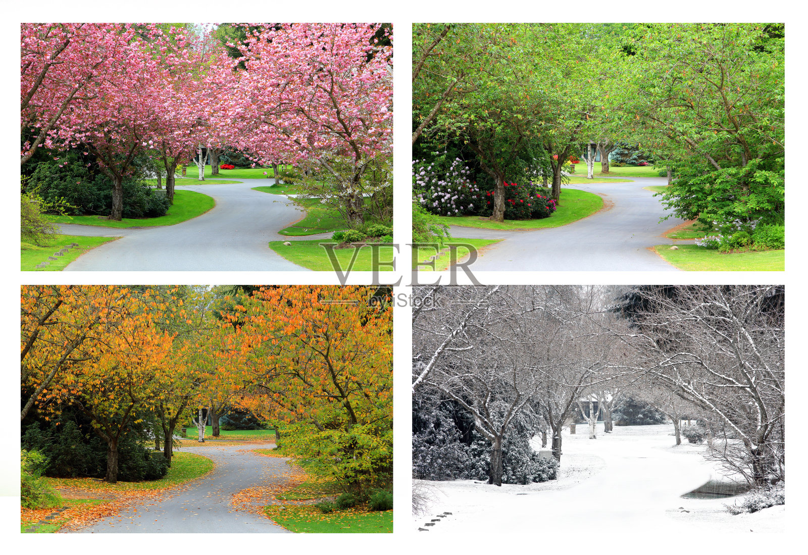 四季都在同一条街上。照片摄影图片