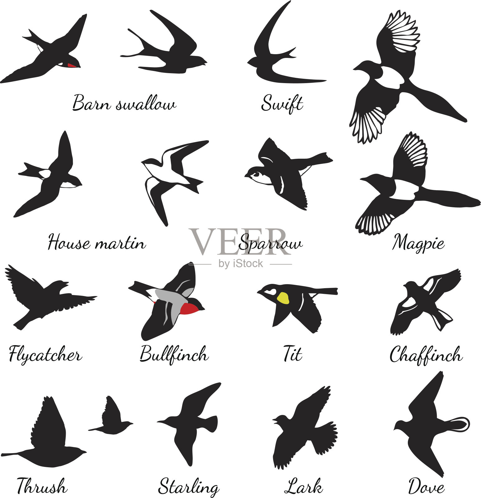 一组黑色孤立矢量轮廓的鸟设计元素图片