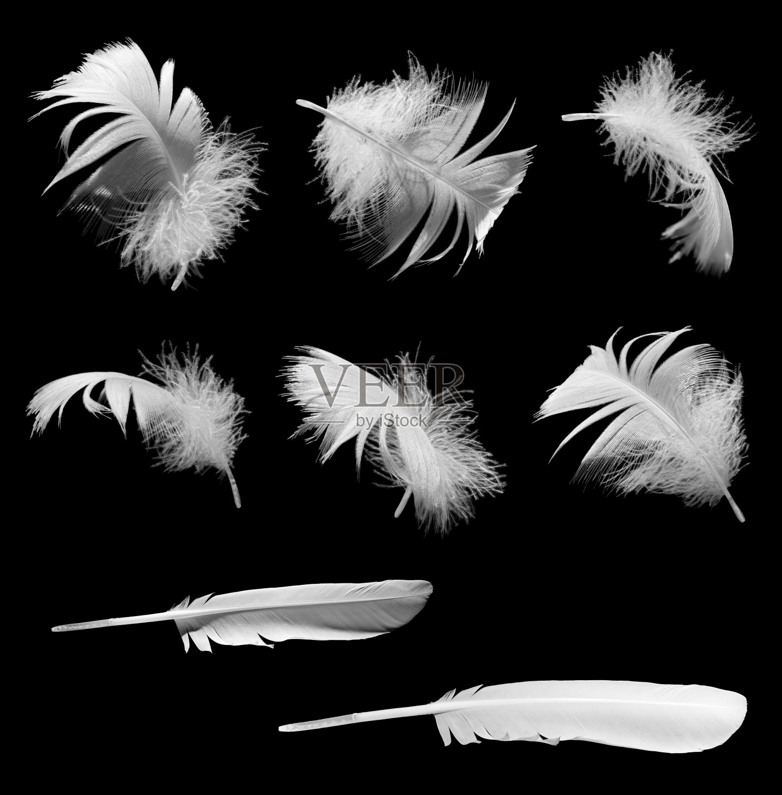 羽毛孤立在黑色背景上照片摄影图片