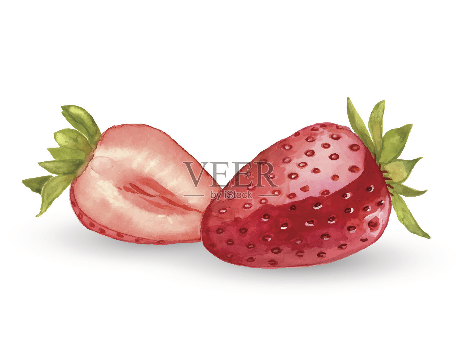 一个半水彩草莓。设计元素图片